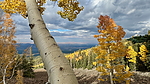 photo thumbnail #13