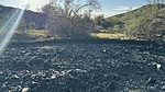 photo thumbnail #3