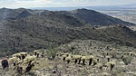 photo thumbnail #12