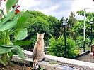 photo thumbnail #7