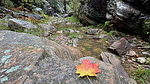 photo thumbnail #6