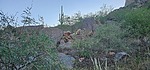 photo thumbnail #5