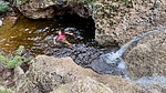 photo thumbnail #5