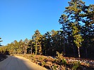 photo thumbnail #7