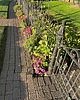 photo thumbnail #10