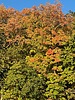 photo thumbnail #11