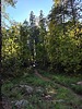 photo thumbnail #15