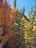 photo thumbnail #11