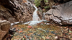 photo of comment