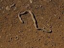 photo of comment