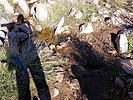 photo thumbnail #6