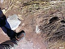 photo of comment