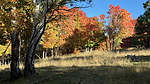 photo thumbnail #9