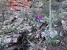 photo thumbnail #2