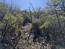 photo thumbnail #6