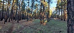 photo thumbnail #2