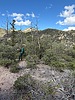 photo thumbnail #7