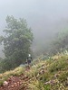 photo of comment