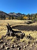 2025-10-20 :1: Humphreys Saddle via Inner Basin :: joebartels