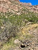 2025-10-16 :3: Lost Goldmine Ephemera :: DesertNymph