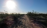 photo thumbnail #3