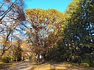 photo thumbnail #4