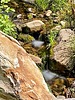 photo thumbnail #15