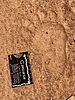 photo of comment
