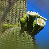 photo thumbnail #5