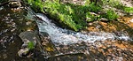 photo thumbnail #13