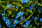 photo thumbnail #11