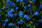 photo thumbnail #12