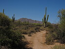 photo thumbnail #9
