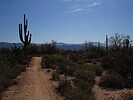 photo thumbnail #10