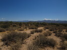 photo thumbnail #14