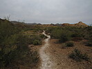 photo thumbnail #4