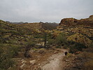 photo thumbnail #5