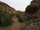 photo thumbnail #7