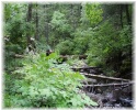 photo thumbnail #11