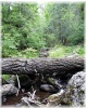 photo thumbnail #12