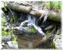 photo thumbnail #14