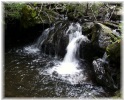 photo thumbnail #15