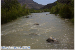 photo thumbnail #6
