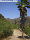 photo thumbnail #12