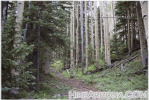 photo thumbnail #5