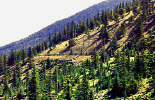 photo thumbnail #11