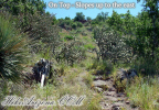 photo thumbnail #13