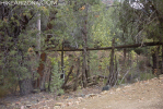 photo thumbnail #9
