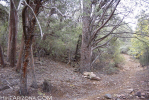 photo thumbnail #12