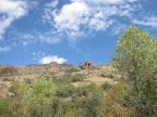 photo thumbnail #6